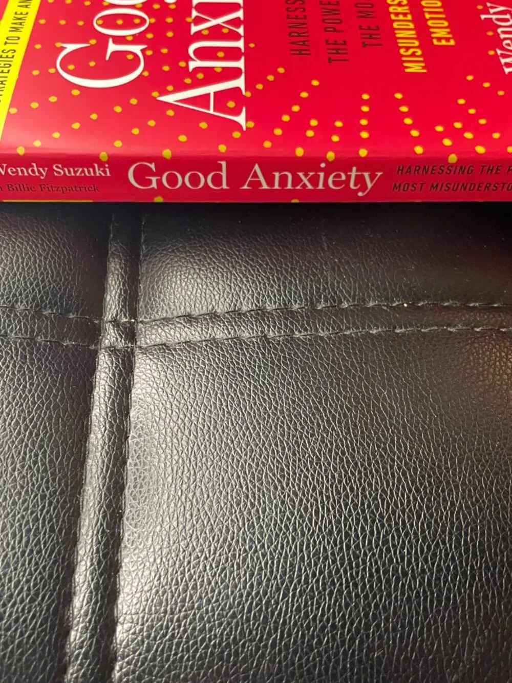 Good Anxiety: Harnessing the Power of the Most Misunderstood Emotion Paperback